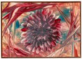 /album/fotogalerie-blumen/img-0026-jpg/